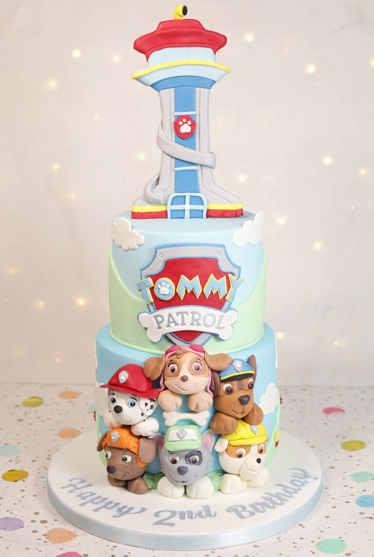 Paw Patrol Cake - Cakey Goodness